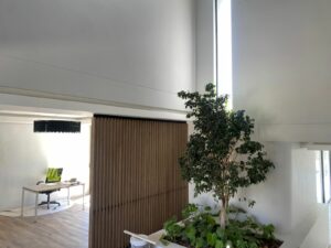 Artefon House Mahne 24